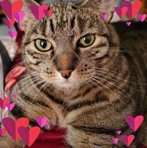 Meet your Posher, Patty